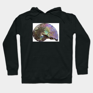 Colourful Nautilus Hoodie